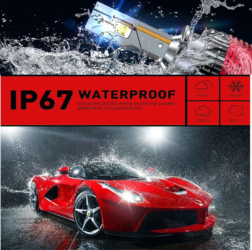 D-Series D2S & D4S LED Headlight Bulbs