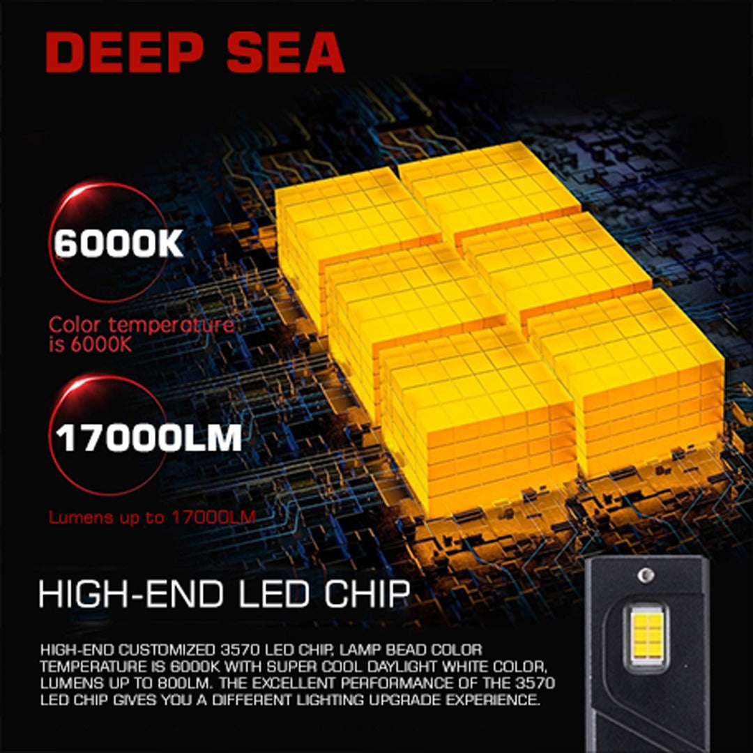 Deep Sea