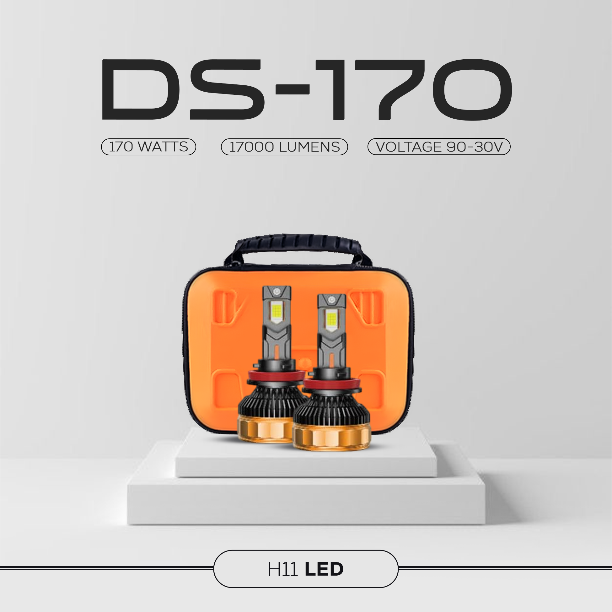 DS170 - 170 Watts