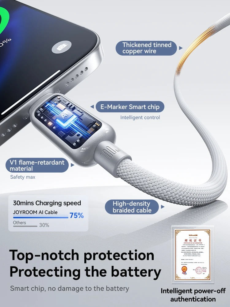 JOYROOM 100W Smart USB-C Cable