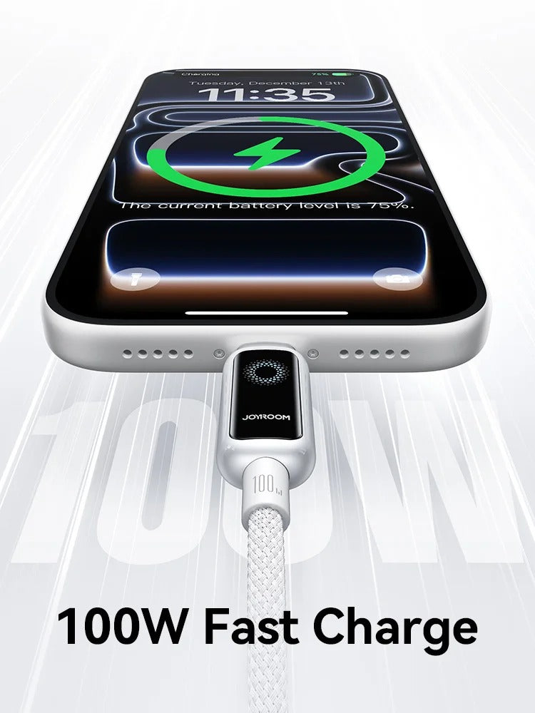 JOYROOM 100W Smart USB-C Cable