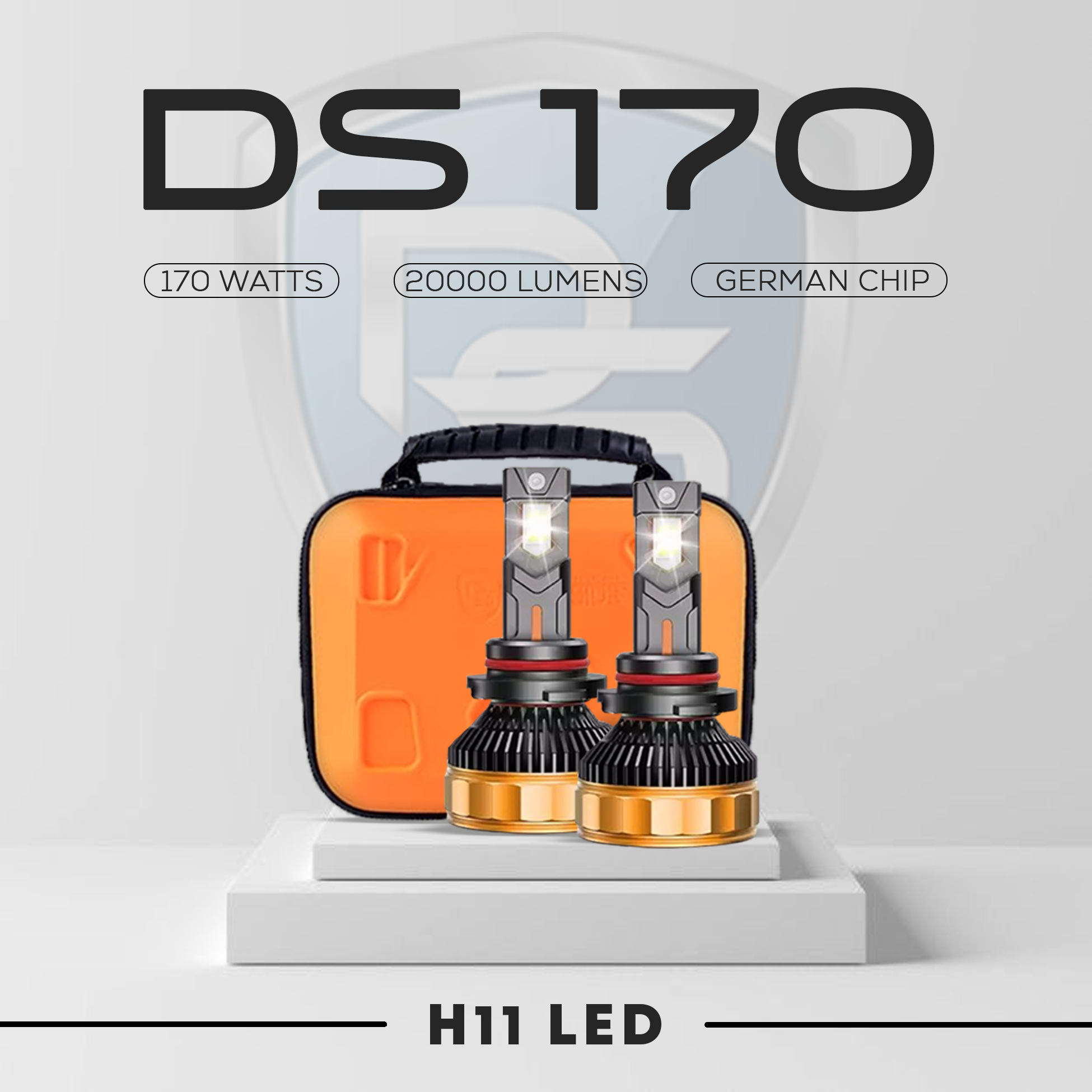 DS170 - 170 Watts